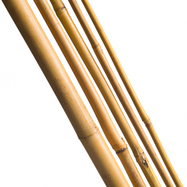 Bambusz növénytámasz 3 db 240 cm natur 18/20 mm