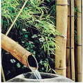 Bambusz oszlop