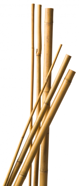 Bambusz növénytámasz 5 db, Ø 10-12mm, 120 cm natúr