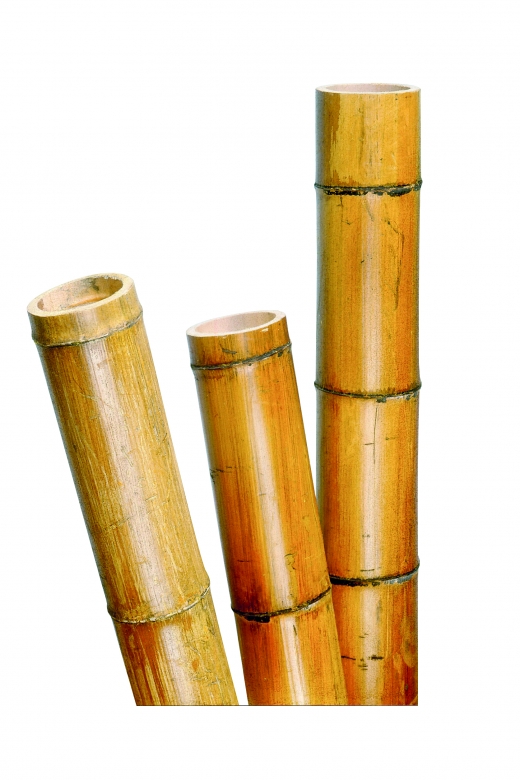 Bambusz növénytámasz Ø 75-85mm, 270 cm 