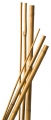 Bambusz rúd 7 db 90 cm natur 8-10 mm