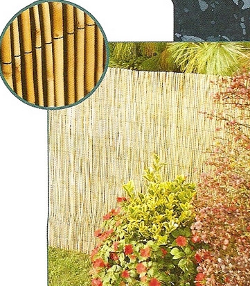 Bambusznád Térelválasztó 1 x 5 m