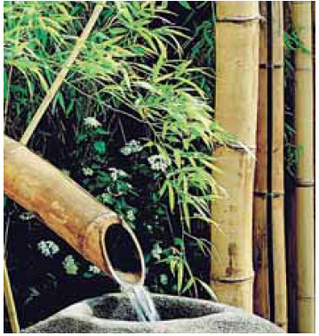 Bambusz oszlop